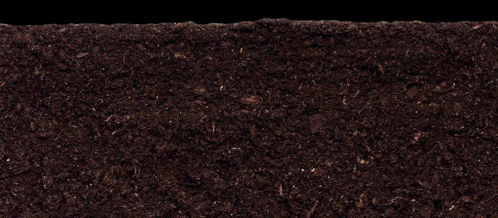 SOILS MICROBIOME