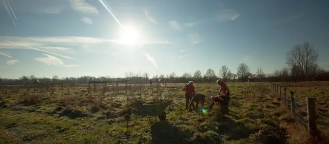 Transitioning from Winter to Spring: Cleaning and Preparing Garden Beds