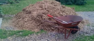 A Simple Guide to Mulching for Gardeners