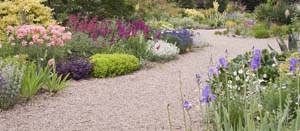 Designing an Ornamental Garden: A Guide to Transform Your Outdoor Space