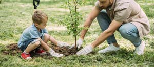 How To Plant A Tree The Right Way