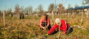 Permaculture and Climate Change: Mitigating Environmental Impact Through Sustainable Design