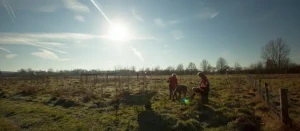 Transitioning from Winter to Spring: Cleaning and Preparing Garden Beds