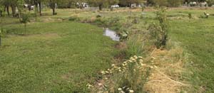 Water Harvesting Techniques for Permaculture Gardens